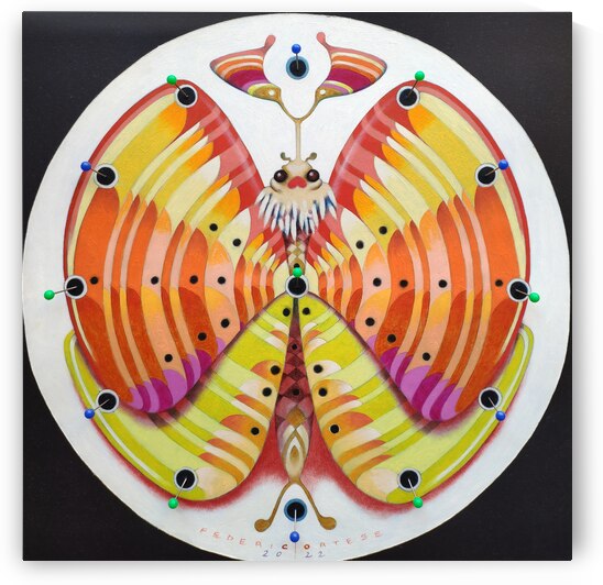 Clock butterfly by federicocortese