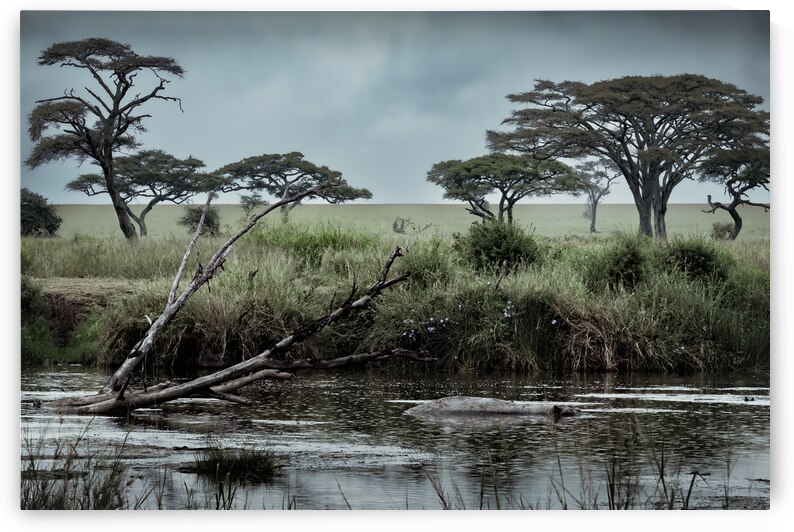 DSCF1146 2 Edit Edit by StudioGucciardo