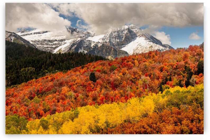 Layers of Seasons by E2 Photography