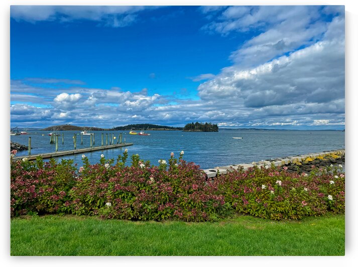 Harbor View at Lubec Maine by Bill Swartwout Photography