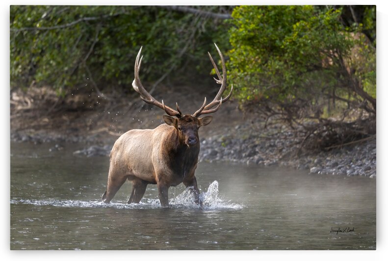 Vegas River Crossing by Doug Beck