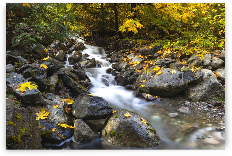 Tumble Creek Falls by Doug Beck