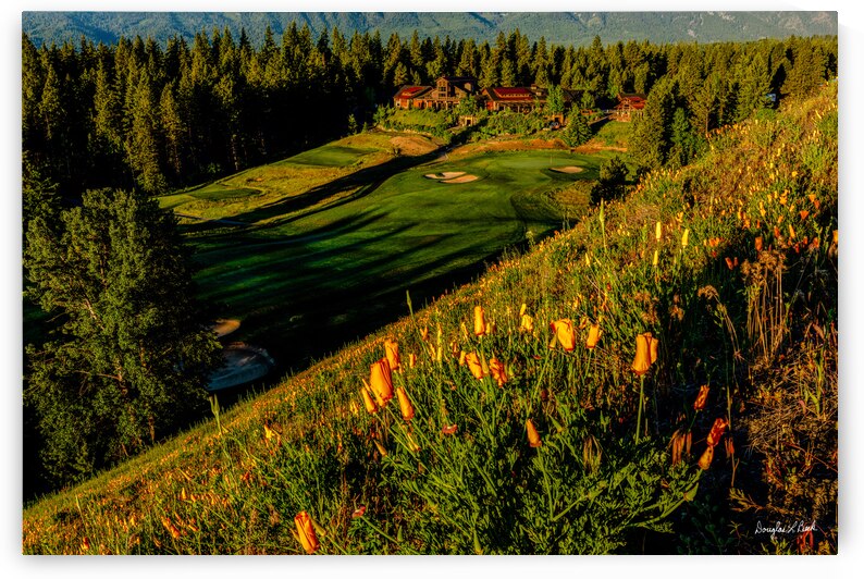 Swiftwater Cellars and Poppies by Doug Beck