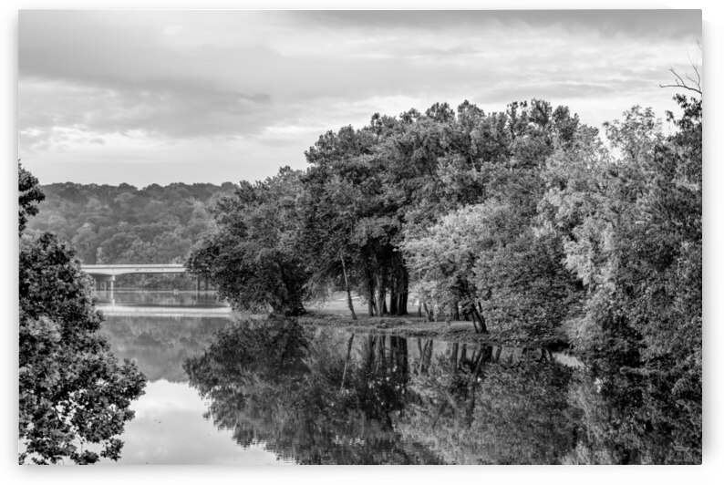 Crisp Fall Morning Lake Reflections Grayscale by Jennifer White