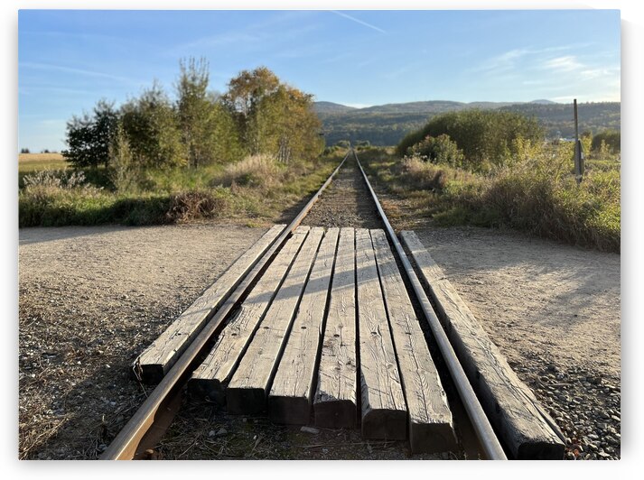 On track Sur la track  by 1GO