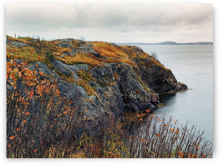 Rocky Coast of Maine by Bill Swartwout Photography
