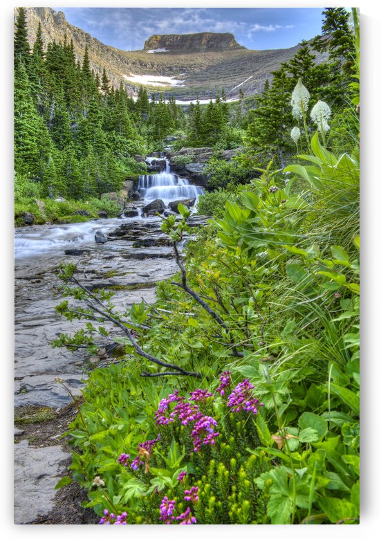 Lunch Creek GNP by Gary M Slane