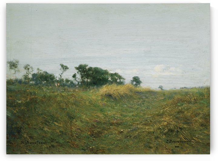 A large field by Vasily Dmitrievich Polenov