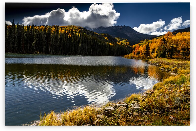 Aspen Heaven at Telluride by Norma Brandsberg Photography