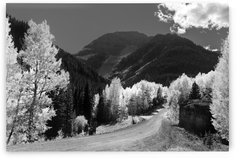 Colorado Back Roads Silhouette by Norma Brandsberg Photography