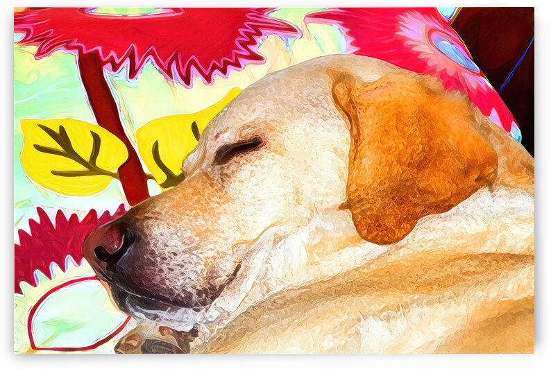 Serenity in Slumber: A Dogs Dream by Le Boulanger