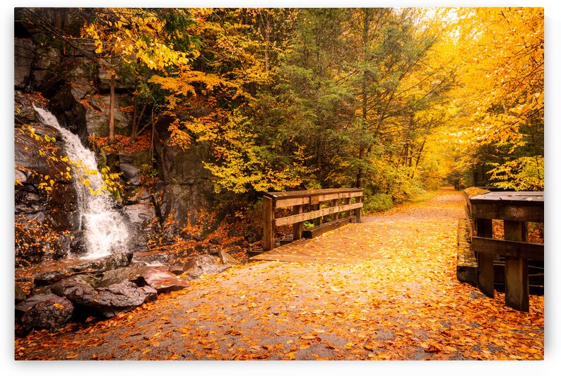 Dreaming of Fall on the D&L Trail by Jason Fink