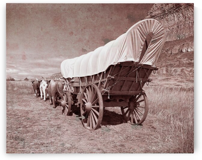 Old Tyme Conestoga Wagon on the Oregon Trail by Bill Swartwout Photography