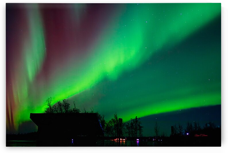 Friday night lights by Bruce Brown