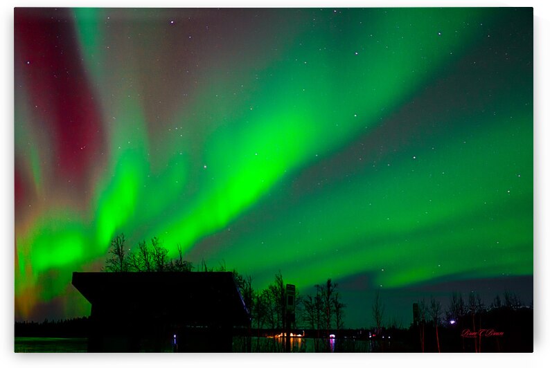 Reds yellows greens oh my by Bruce Brown