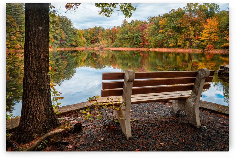 Bench at Ice Lake Park Poconos by Jason Fink