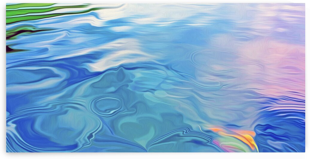 Paws for reflection : panoramic orientation by shawn morris creative