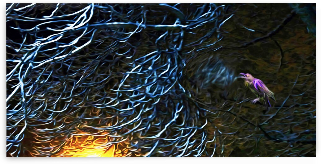 night Caw Cawler : Panoramic Orientation by shawn morris creative