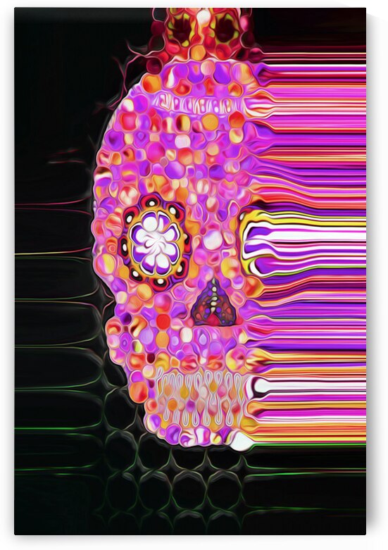 sun blistered by shawn morris creative