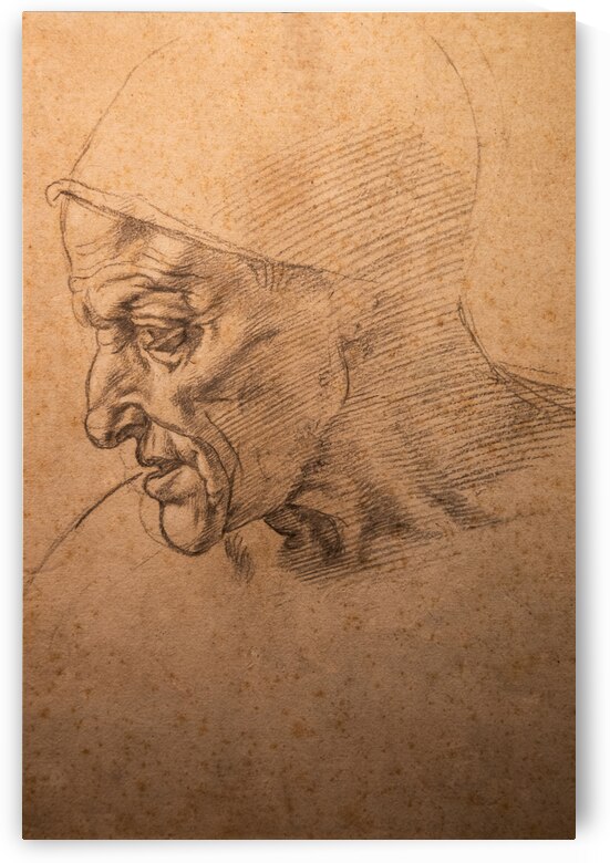 Michelangelo Buonarroti drawing Study for the head of the Cumae by Paolo Modena
