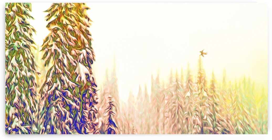 tricksters glow Panoramic Orientation by shawn morris creative