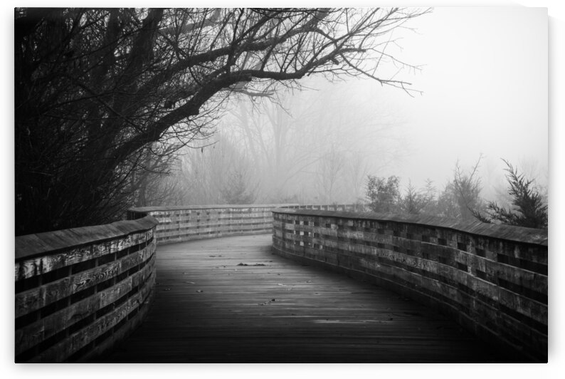 Foggy Jordan Creek Greenway Black and White by Jason Fink