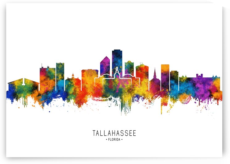Tallahassee USA Skyline by Towseef Dar