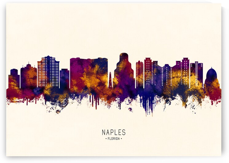 Naples USA Skyline by Towseef Dar