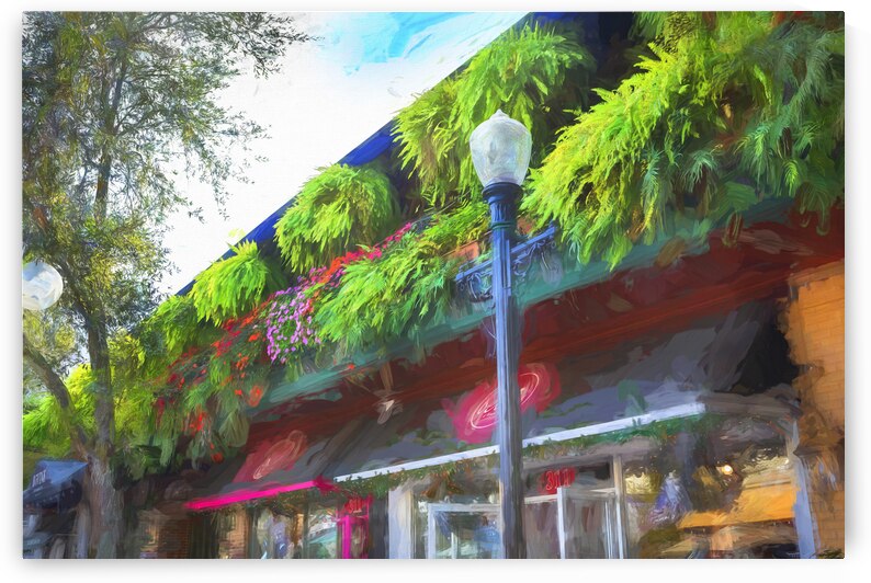 Park Ave Winter Park Florida X 1 by Rich Franco