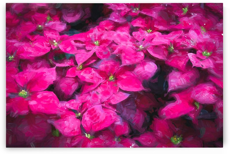 Park Ave Winter Park Florida X 8 by Rich Franco