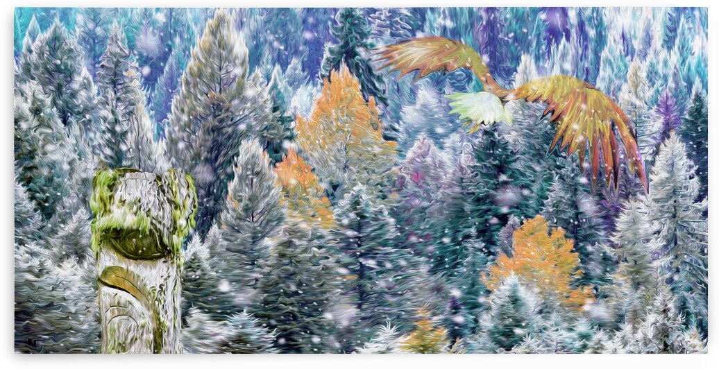 go time : panoramic orientation by shawn morris creative