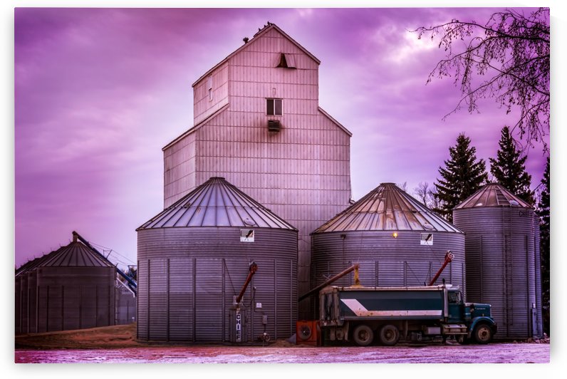 The Magenta Silos by Lisa Poirier