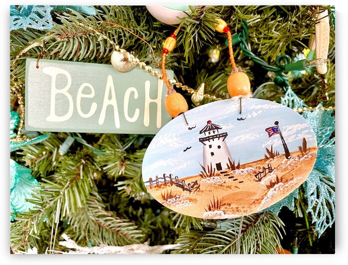 Beachy Tree Ornaments by Bill Swartwout Photography