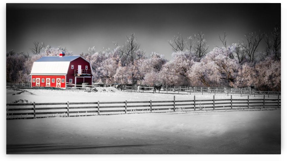 The Red Barn by Lisa Poirier