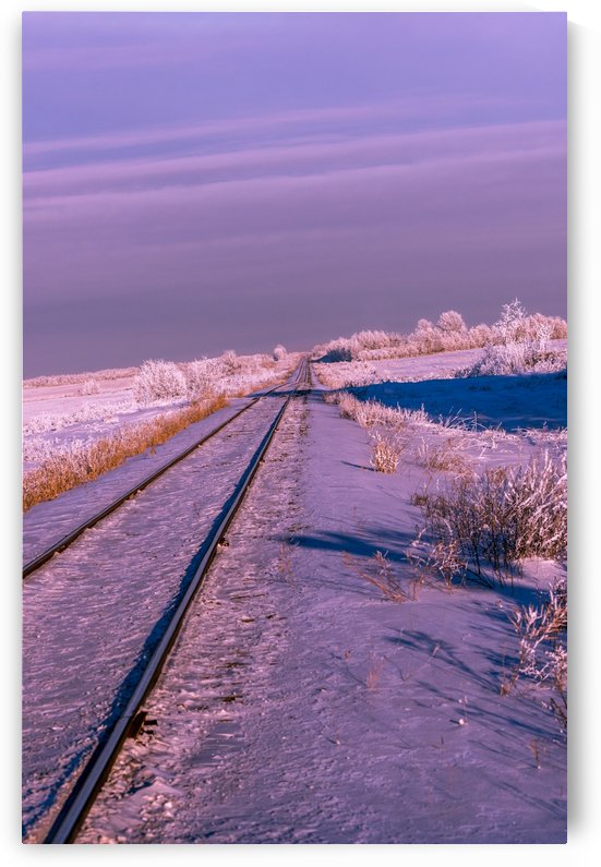 No Train in Sight by Lisa Poirier