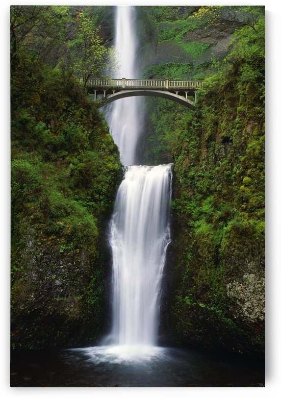 Multnomah Falls, Oregon, Usa by PacificStock