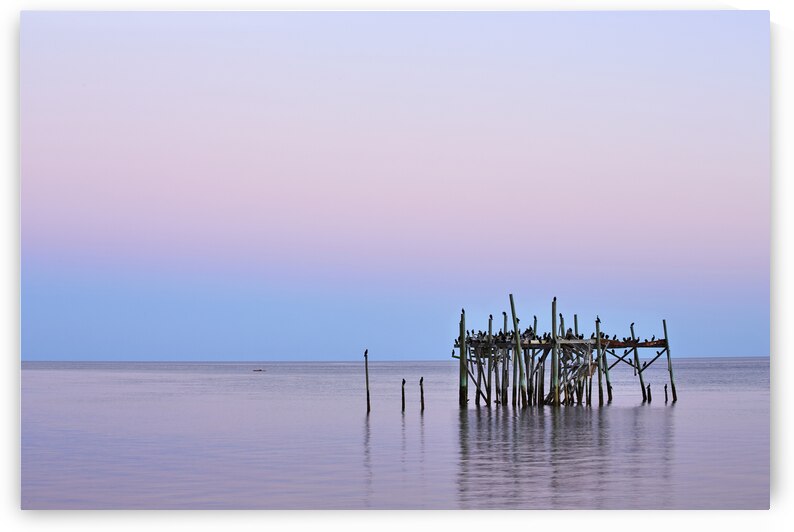 Moons Shadow in Carabelle by Images By Jon Evan