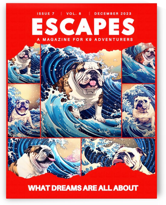 Adventure Magazine Cover with Surfing English Bulldog Poster-Red by Raquel Manteiga