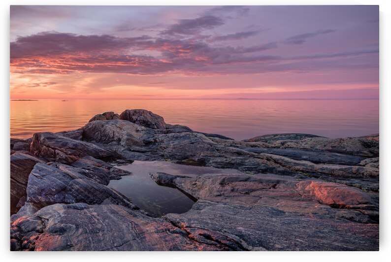 Vibrance by Ken Fallu