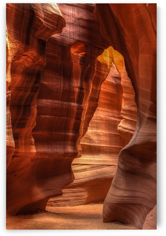 Bears and Honey by Gary M Slane