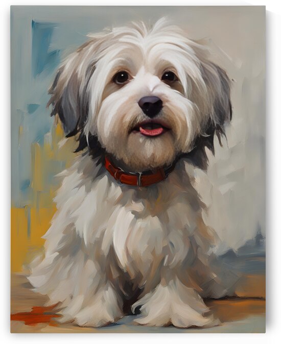 Cute Havanese Dog 5 by Mankdhani