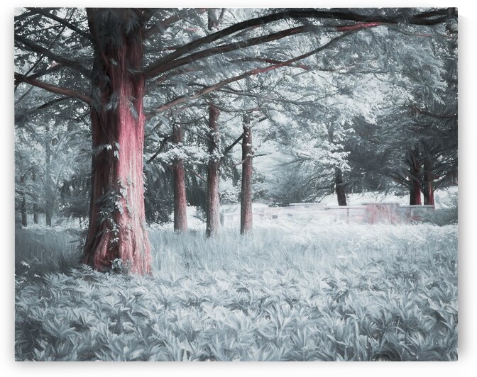 Painterly - Summer Trees Park Fields by Jason Fink