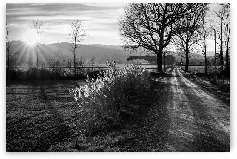 Symphony of Light in Black and White - CR2101-4373-BW by JordiCarrio