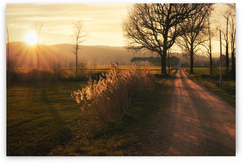 Path at sunset in Malla - CR2101-4373-REA by JordiCarrio