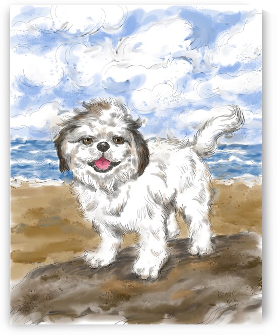  Shih Tzu dog portrait with beach nature landscape background. W by Kevin Miller Photography