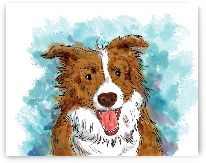 Border Collie dog pet portrait watercolor drawing by Kevin Miller Photography