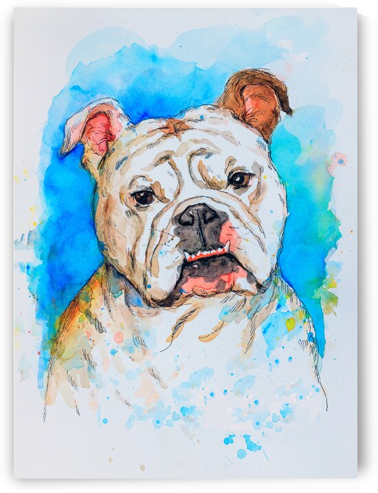 English Bulldog pet portrait watercolor painting by Kevin Miller Photography