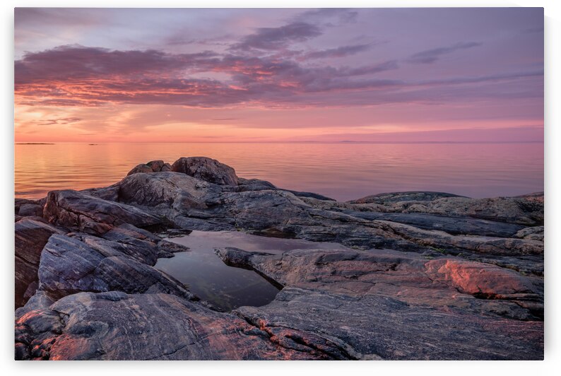 Vibrance by Ken Fallu