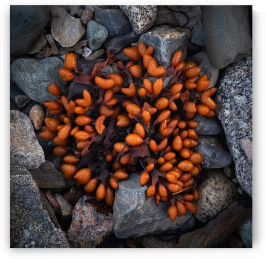 Explosion by Ken Fallu