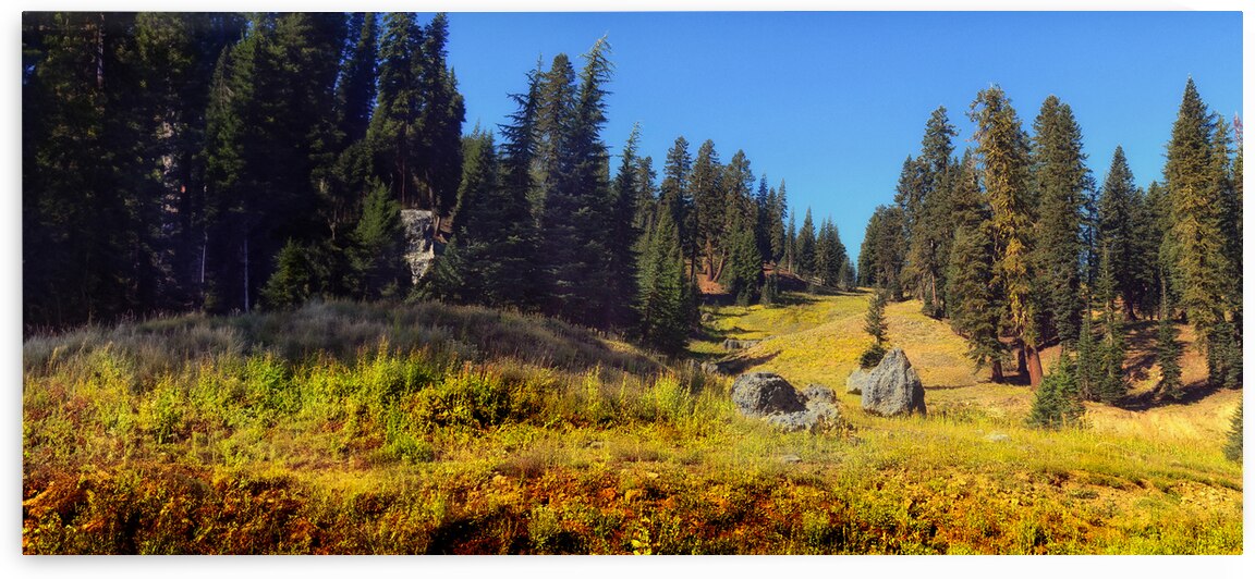 Mount Lassen Volcanic National Park Panorama by Frank Wilson